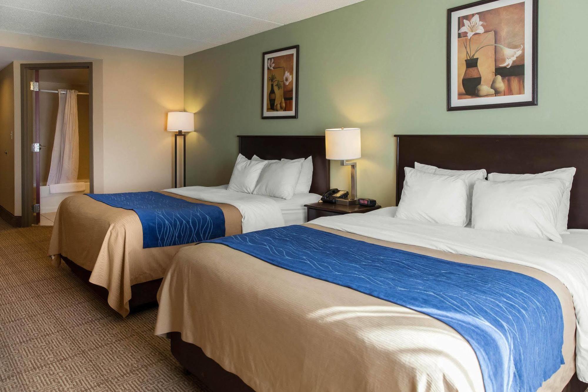 Comfort Inn Near Quantico Main Gate North Dumfries Ngoại thất bức ảnh