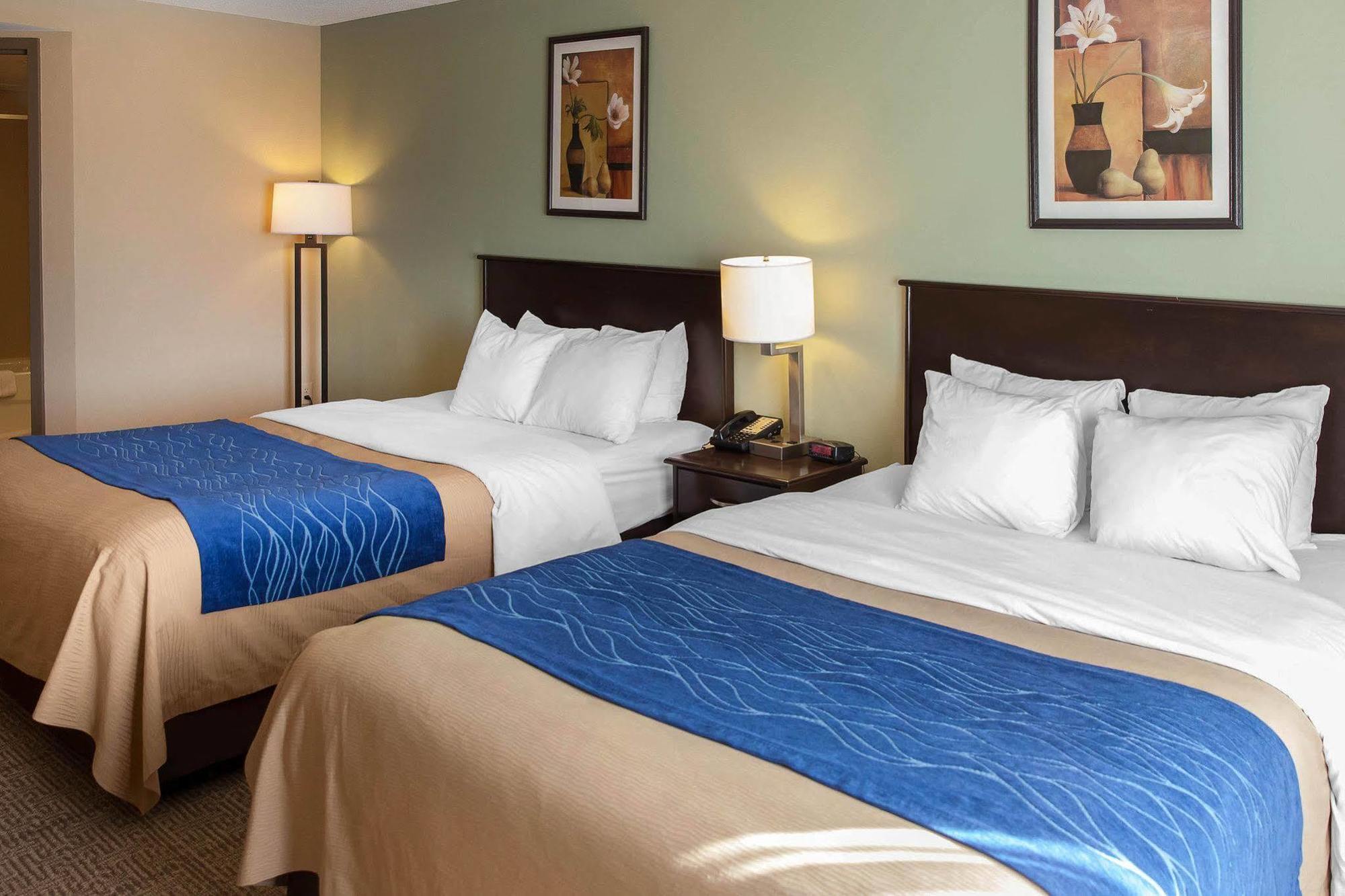 Comfort Inn Near Quantico Main Gate North Dumfries Ngoại thất bức ảnh